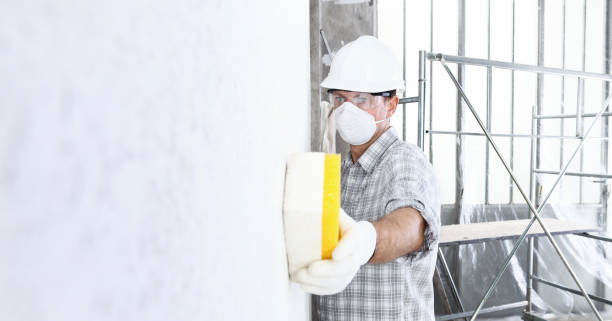  Shrewsbury, NJ Mold Removal & Remediation Pros